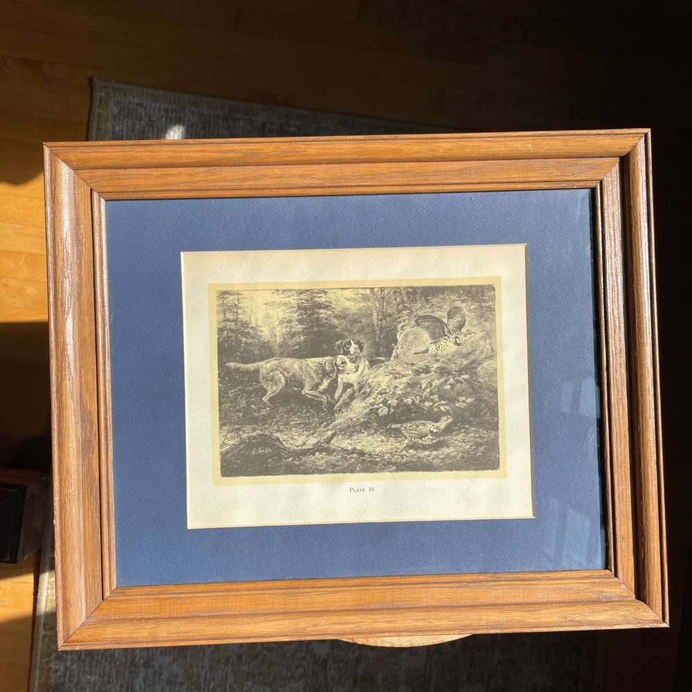 Vintage lithograph